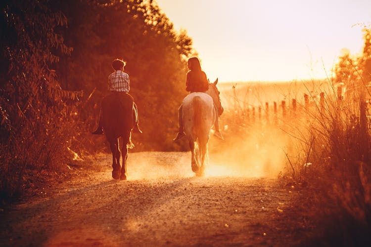 Unrecognizable Siblings Riding Horses On Pathway With Colorful Dust Outdoors