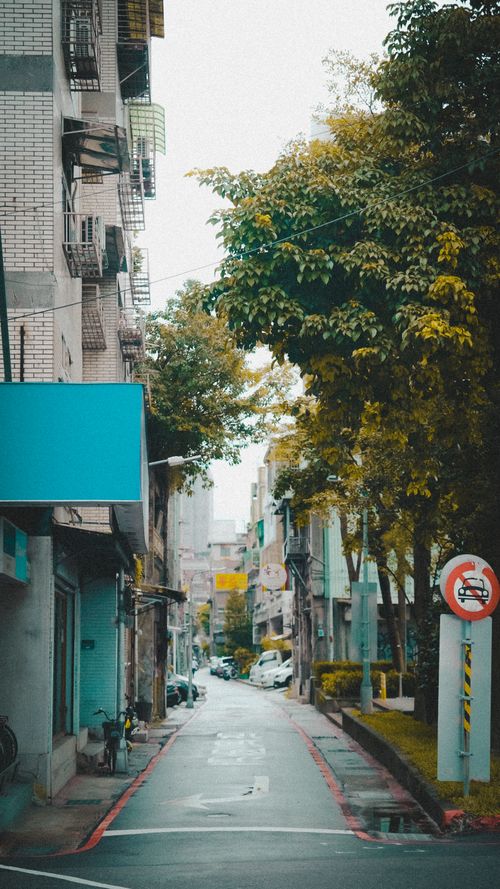 Free Serene view of a quiet street lined with trees and buildings in Taipei, Taiwan. Stock Photo