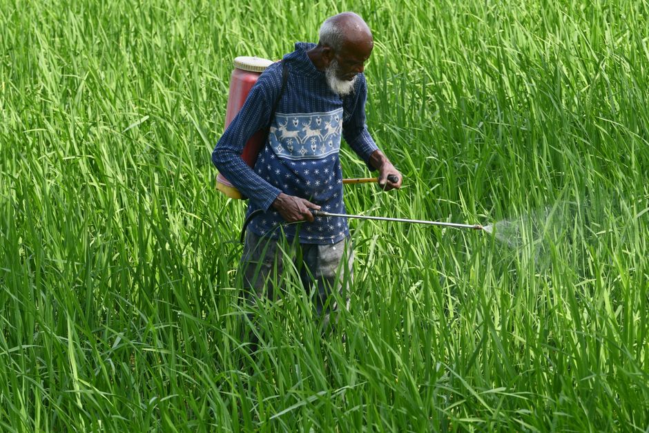 Mauritius Tightens Pesticide Rules With Four New Regulations