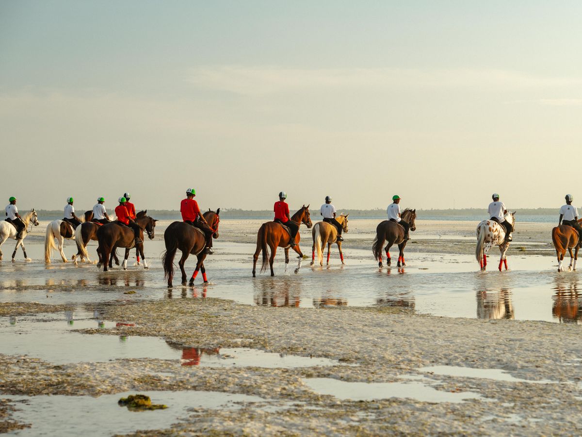 7 Day Wellness, Beauty & Deep Relaxation Retreat in Zanzibar 2
