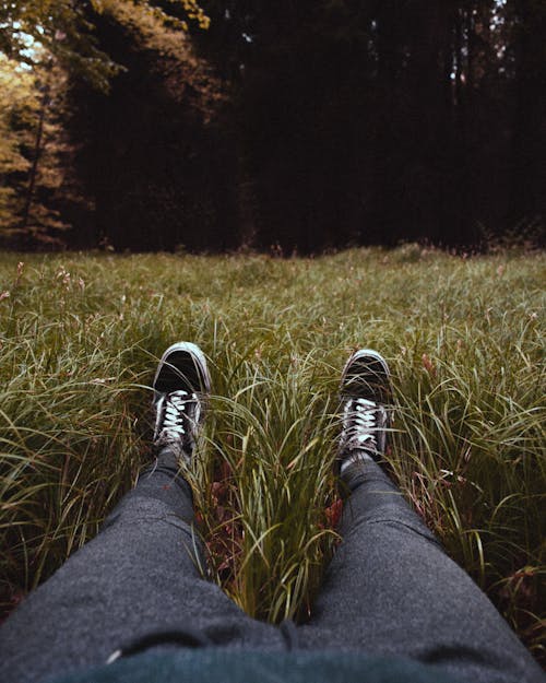 Crop man with sneakers resting on green grass