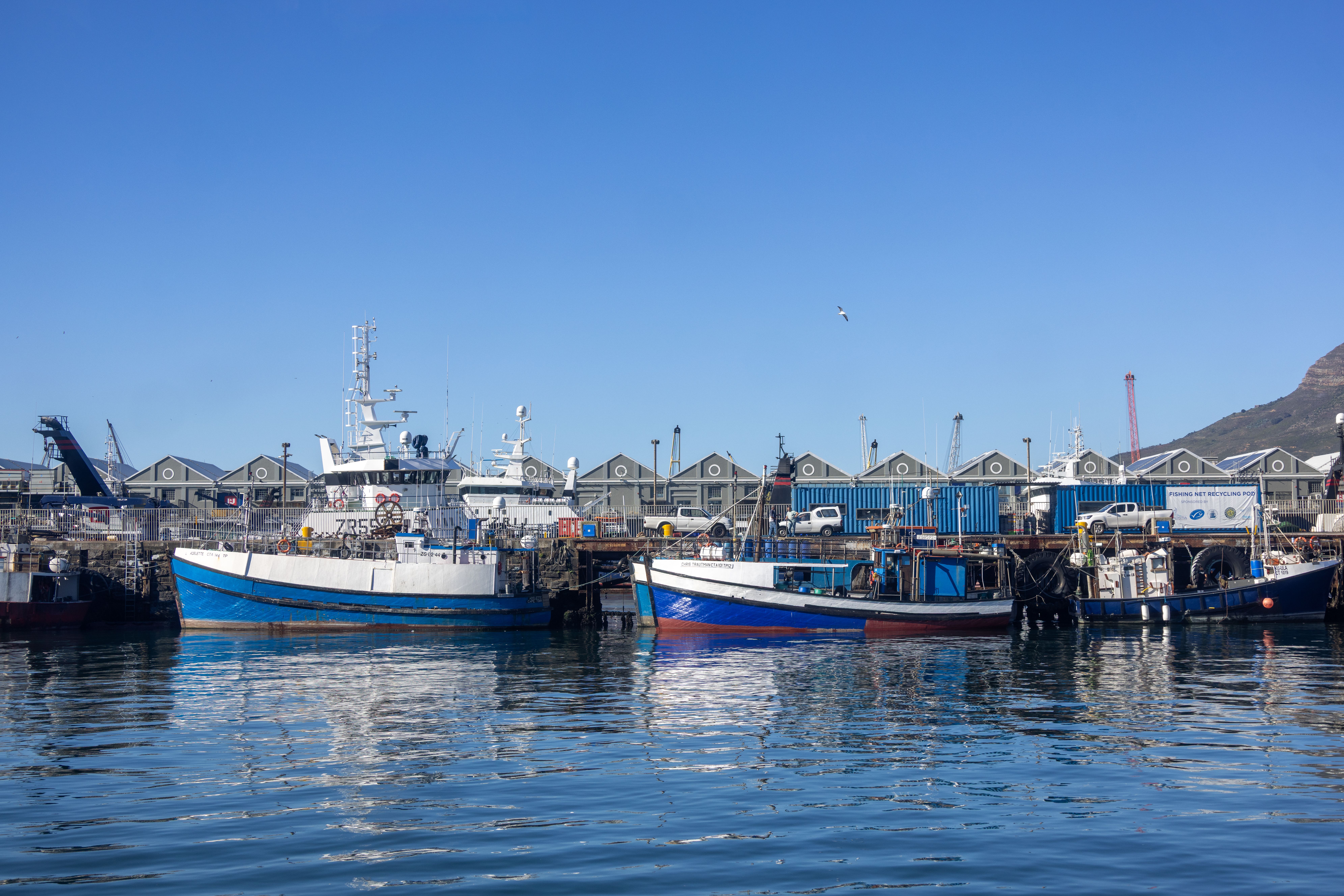 Tours, activities & tickets in Hout Bay