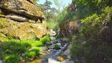Picturesque stream flowing through lush greenery and rocky cliffs in Real Sitio de San Ildefonso.