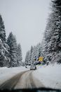 冬季，灰色的天空下，一辆汽车在树林附近的雪地上行驶