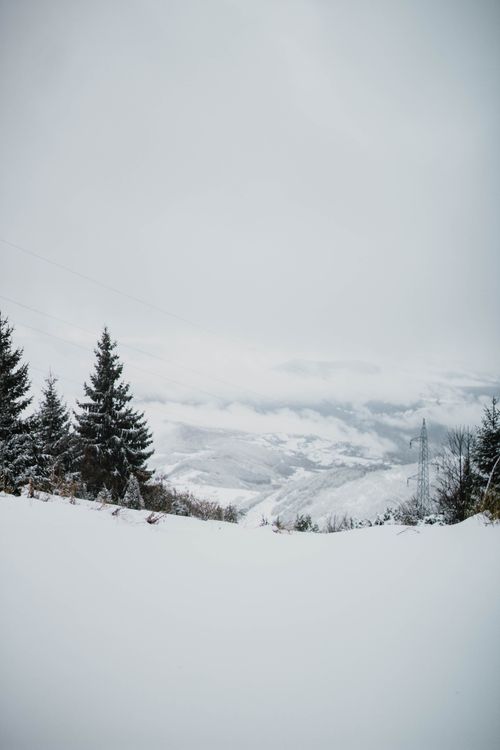 Free Snowy terrain with forest trees placed near mountains in winter day under gray sky Stock Photo