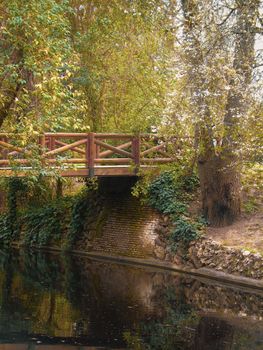 A serene landscape capturing a wooden bridge over a calm river surrounded by lush greenery in a park.