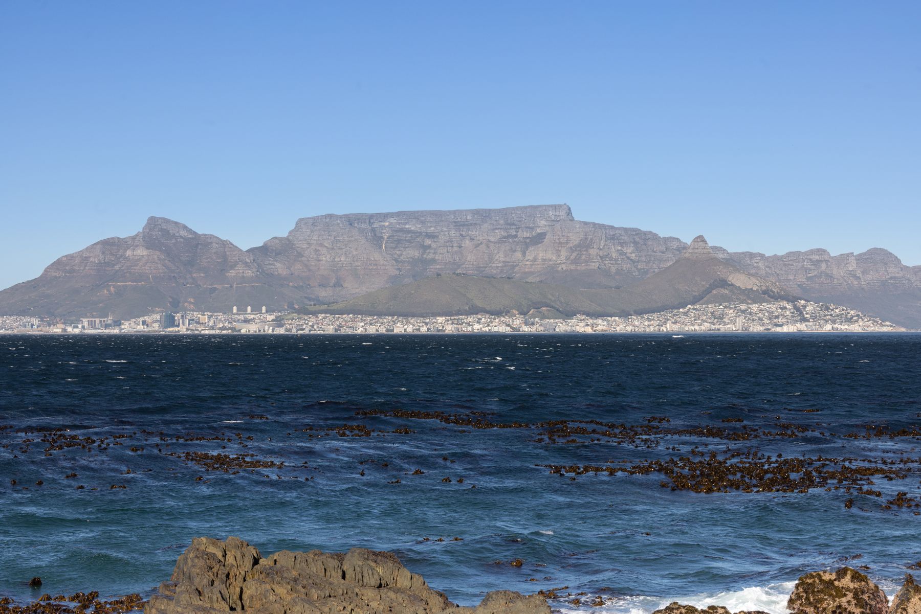 Observatory and Newlands: Two Budget Bases on Cape Town's Southern Line