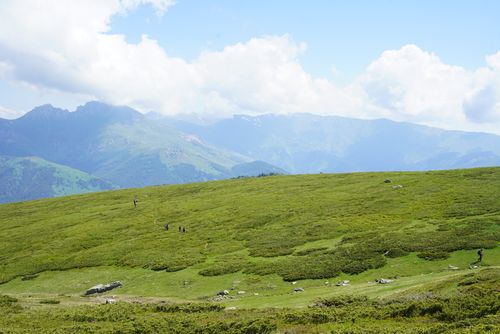 Free A lush green meadow stretches towards distant mountains under a bright sky, perfect for nature lovers. Stock Photo