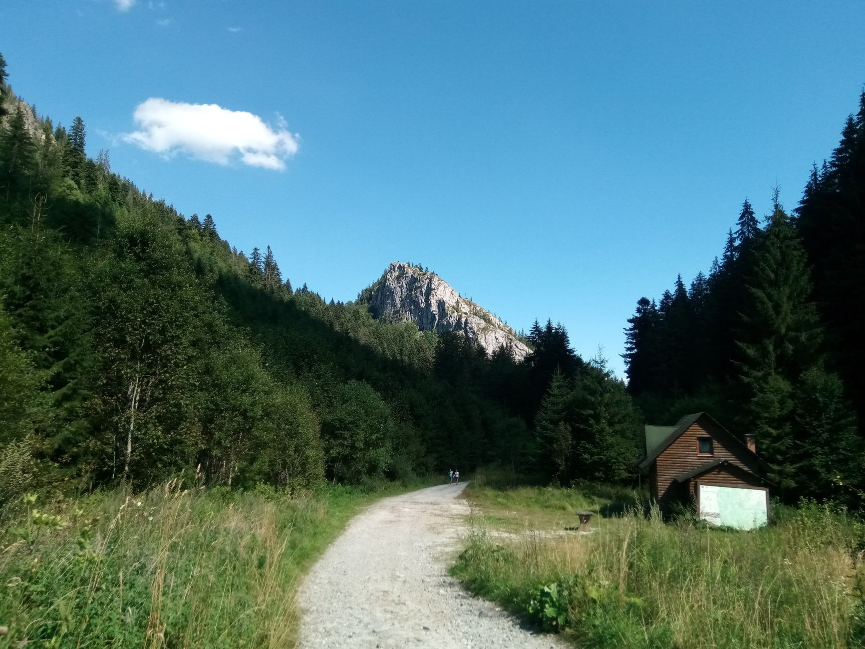 Drumeție Via Transilvanica: 8 nevăzători din Bistrița parcurg 81 km