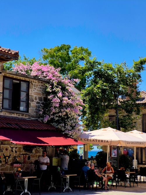 Free Cozy outdoor cafe surrounded by blossoming flowers and lush greenery in Antalya, Turkey. Stock Photo