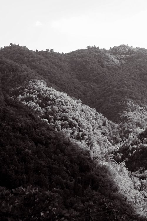 Free Majestic black and white mountain landscape in Provence-Alpes-Côte d'Azur, France. Stock Photo
