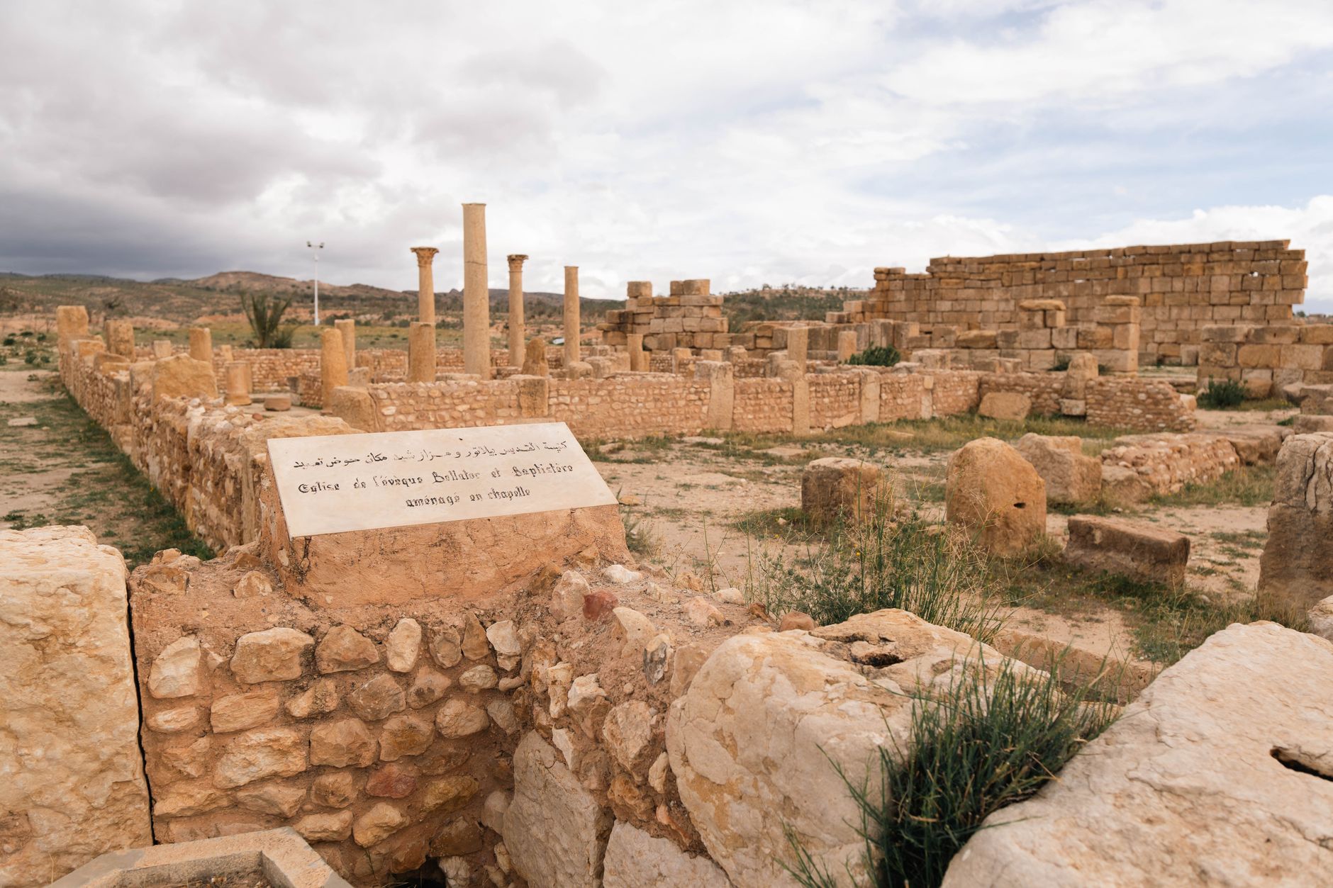 Tunisia Marks Saied