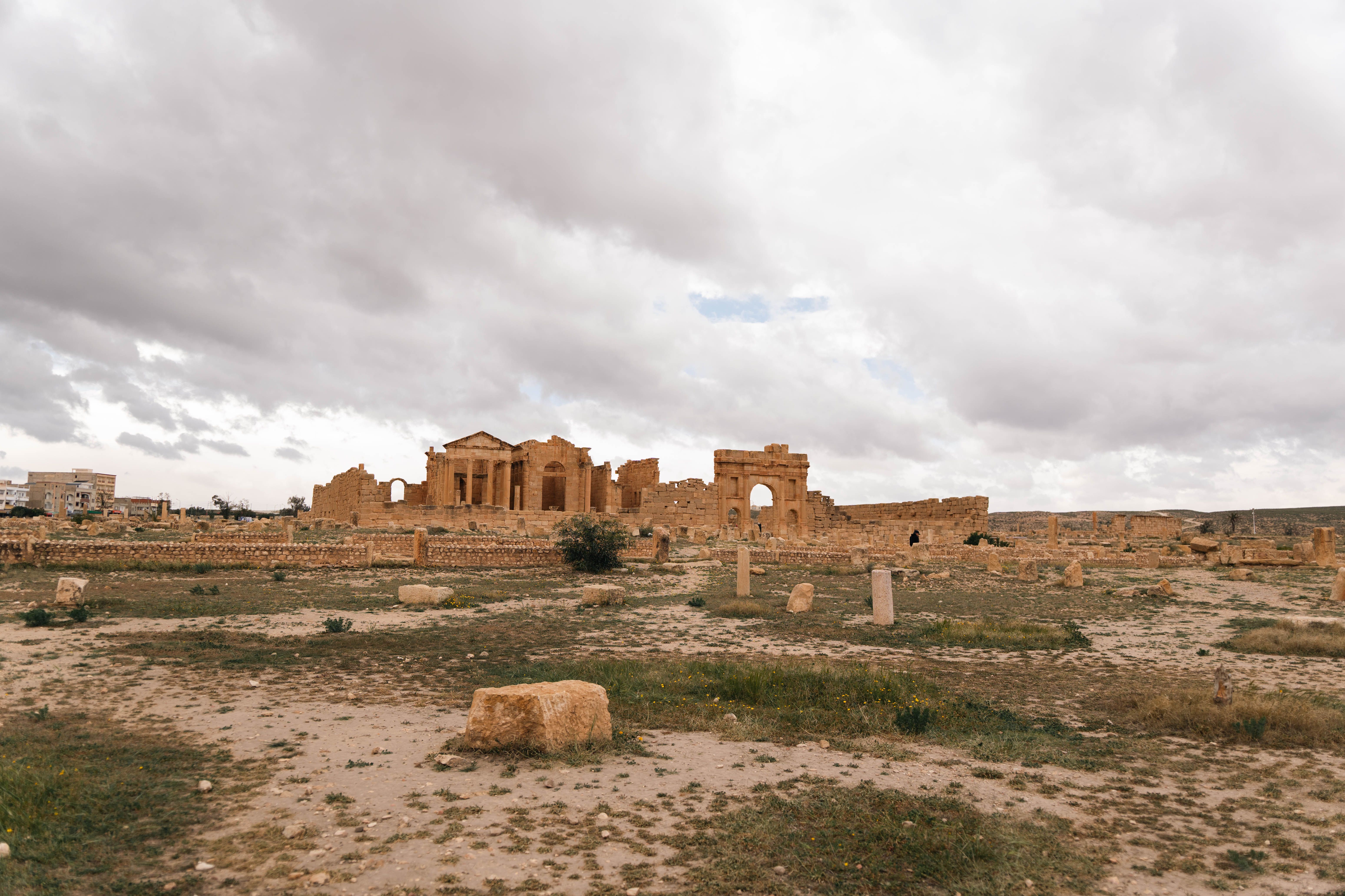 Tunisian wildfires expose failing infrastructure, community vulnerabilities