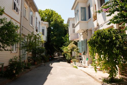 Free A peaceful residential street with lush greenery and charming houses on a sunny day. Stock Photo