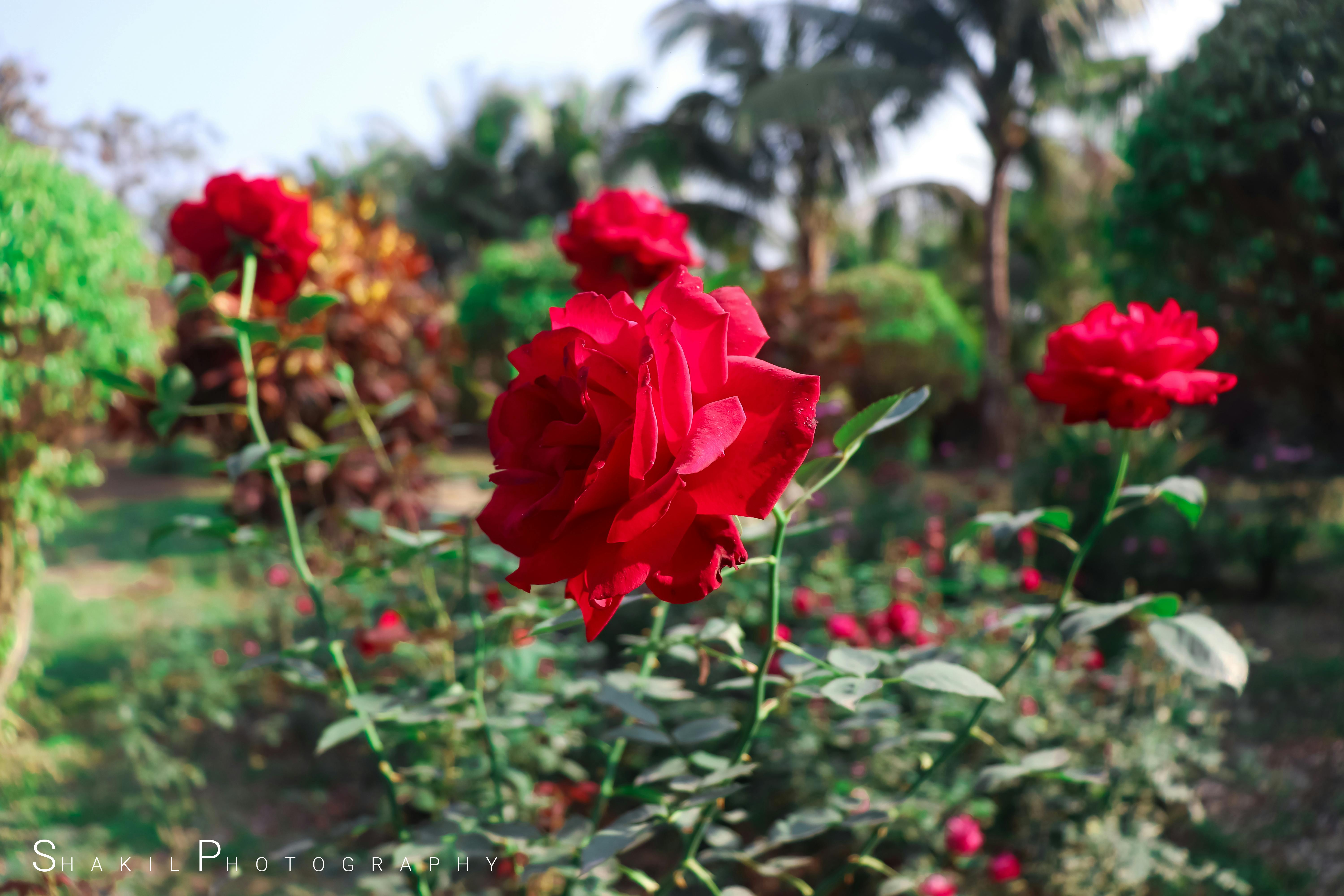 DeepMind AlphaFold 3 Breakthrough: Protein Structure Prediction Revolutionises Drug Discovery