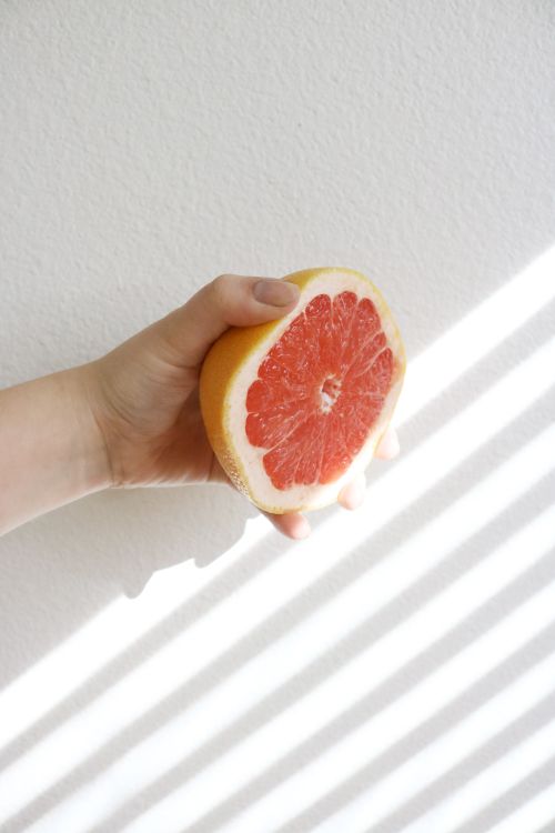 Free A hand holds a fresh sliced grapefruit with sunlight casting shadows on a light background. Stock Photo