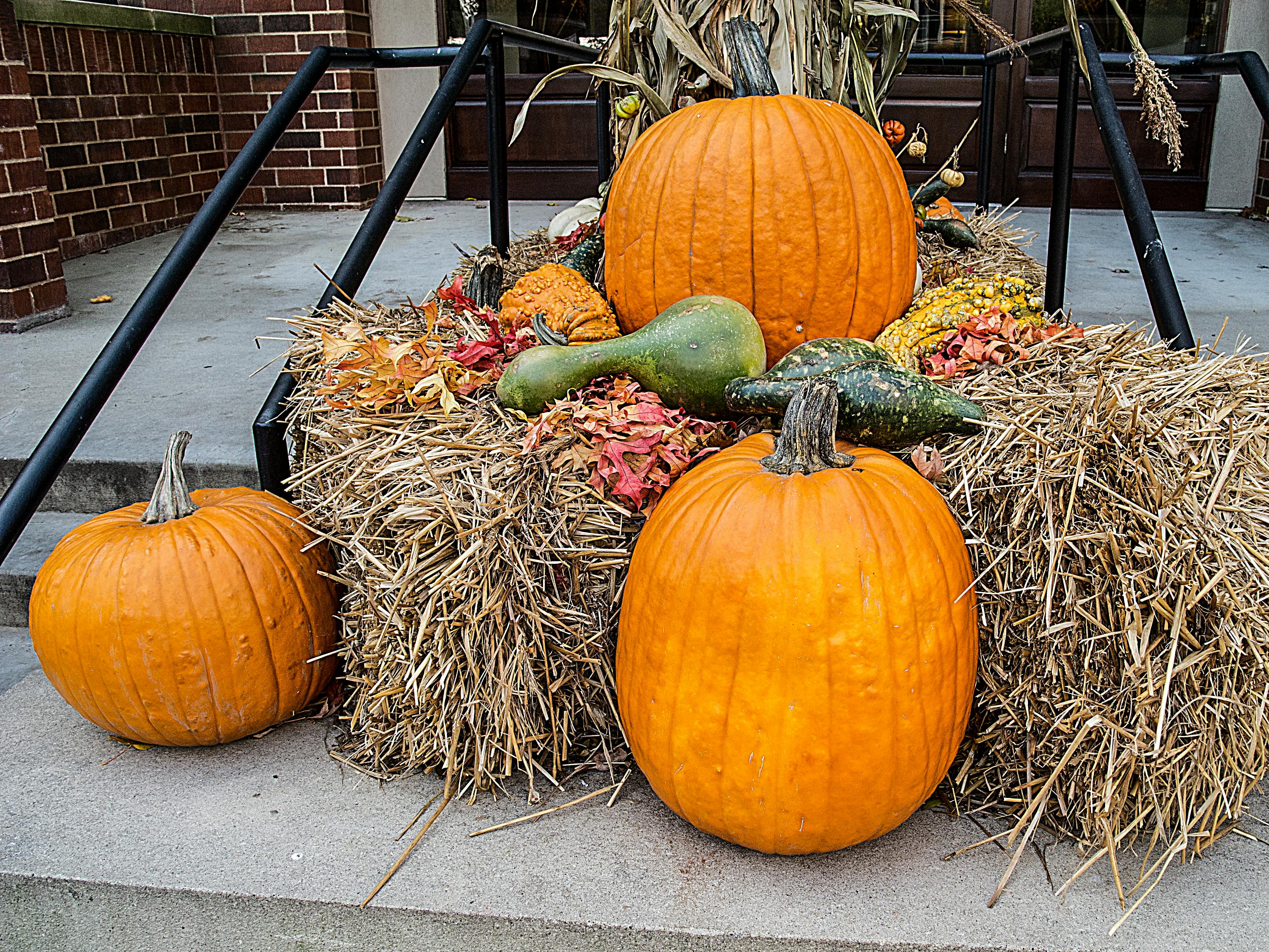 Real-life case studies of Americans saving money with health insurance