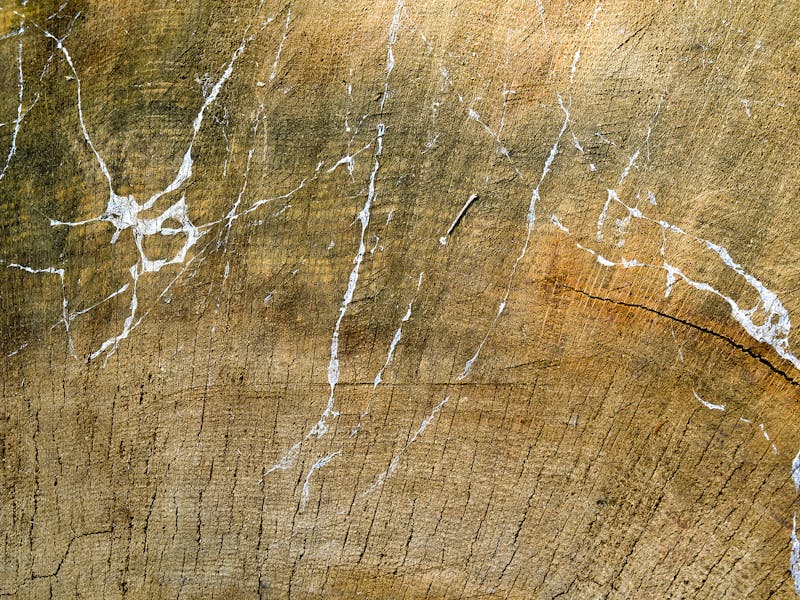 Medical professionals in discussion