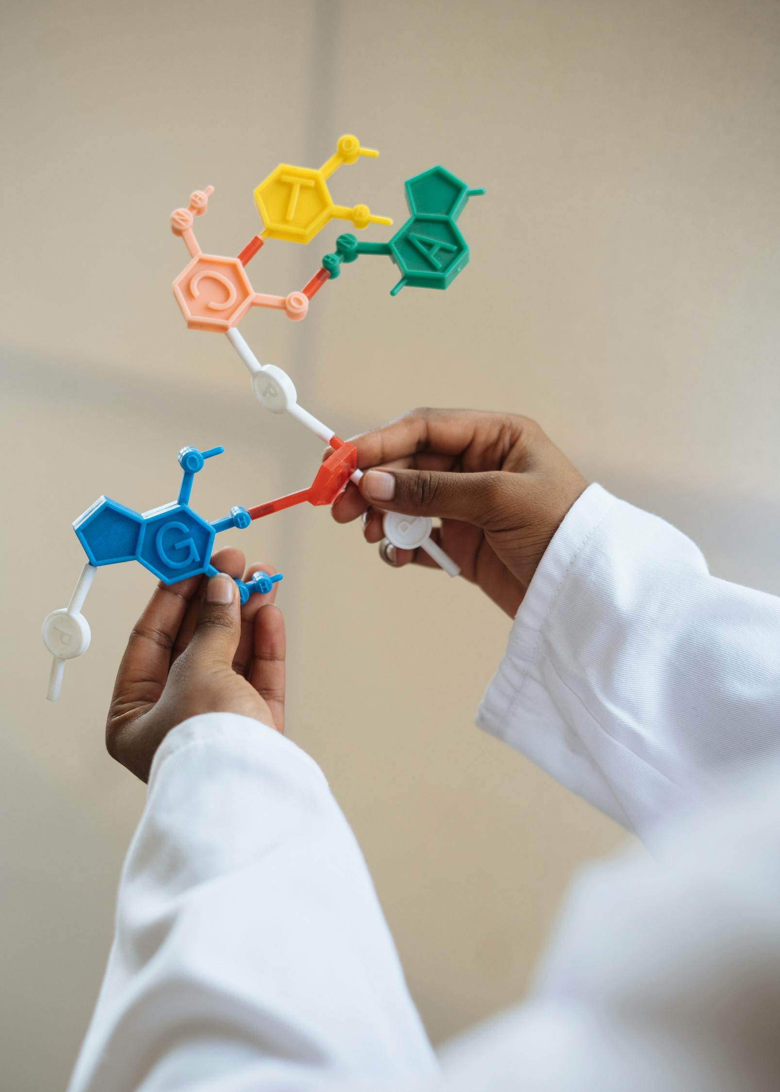 Crop chemist holding in hands molecule model