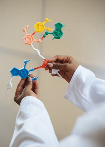 Nootropics: The Complete Cognitive Enhancement Guide