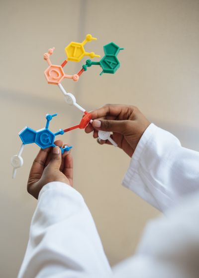 Alpha GPC Choline Supplement — 300mg