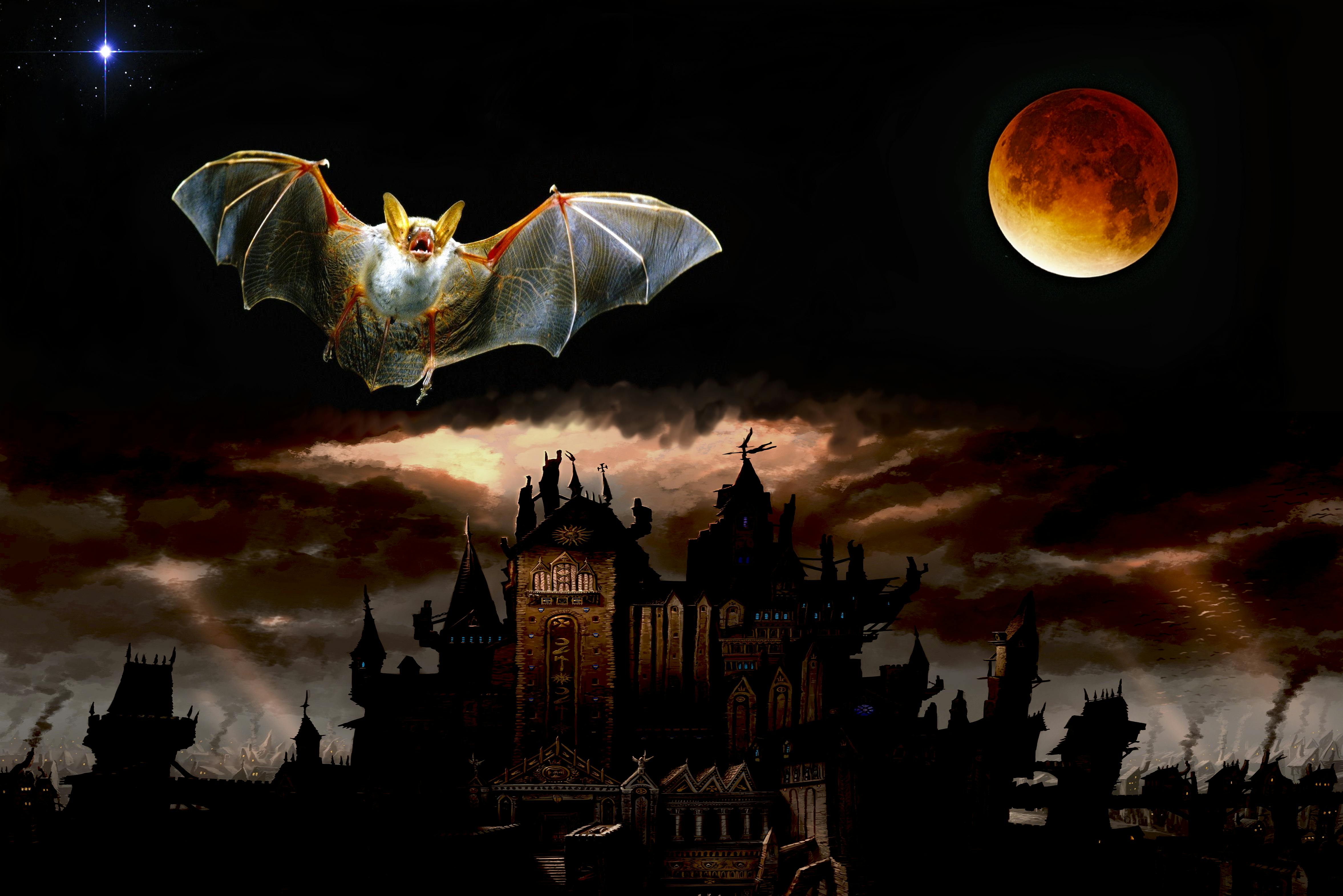 Student watching online science video on laptop