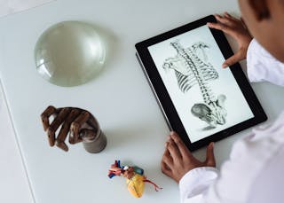 Unrecognizable African American scientist studying anatomy with tablet