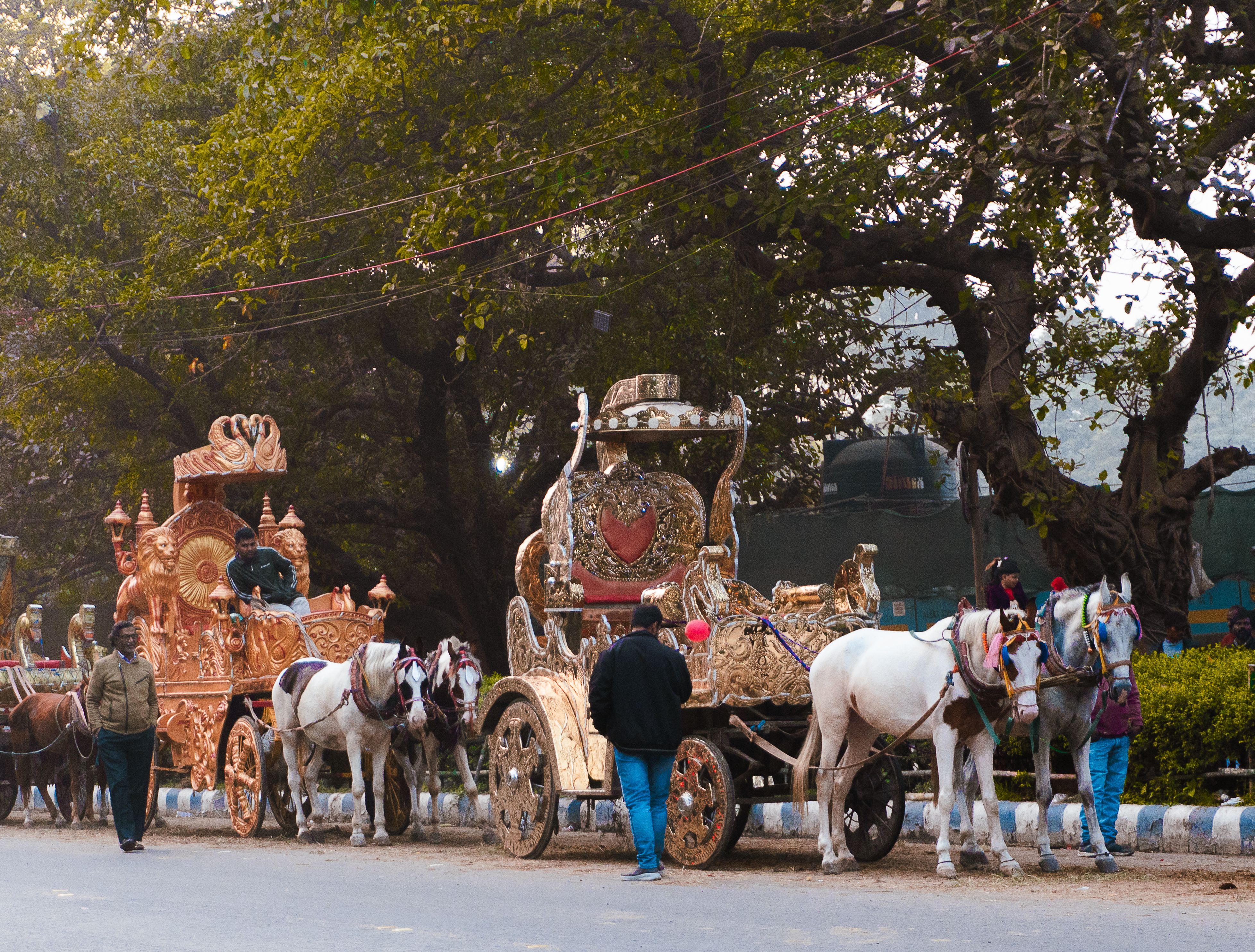 general travels majestic — Photo by Bishal Pixels on Pexels