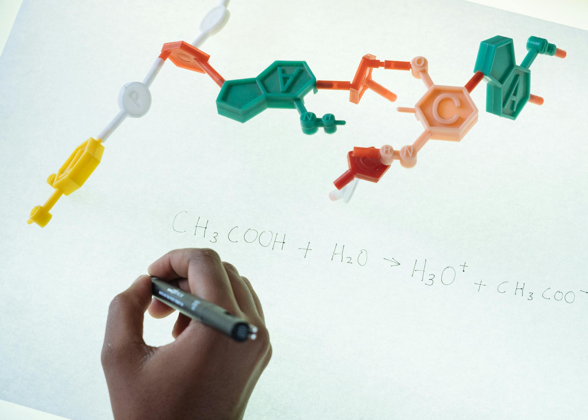 Anonymous chemist writing with marker on illuminated magnetic board formula of Hydronium and Acetate production after studying plastic model of molecule in laboratory