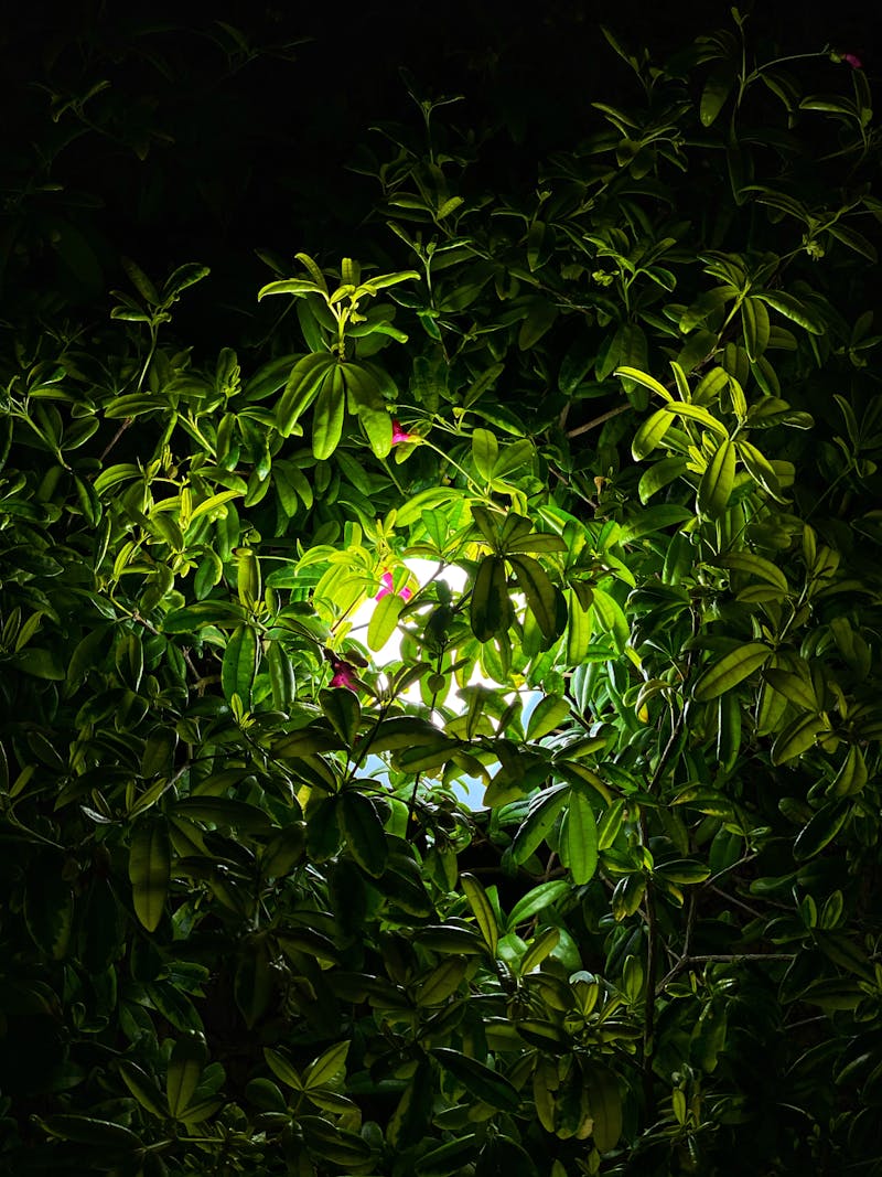 Thermal Insulated Gloves