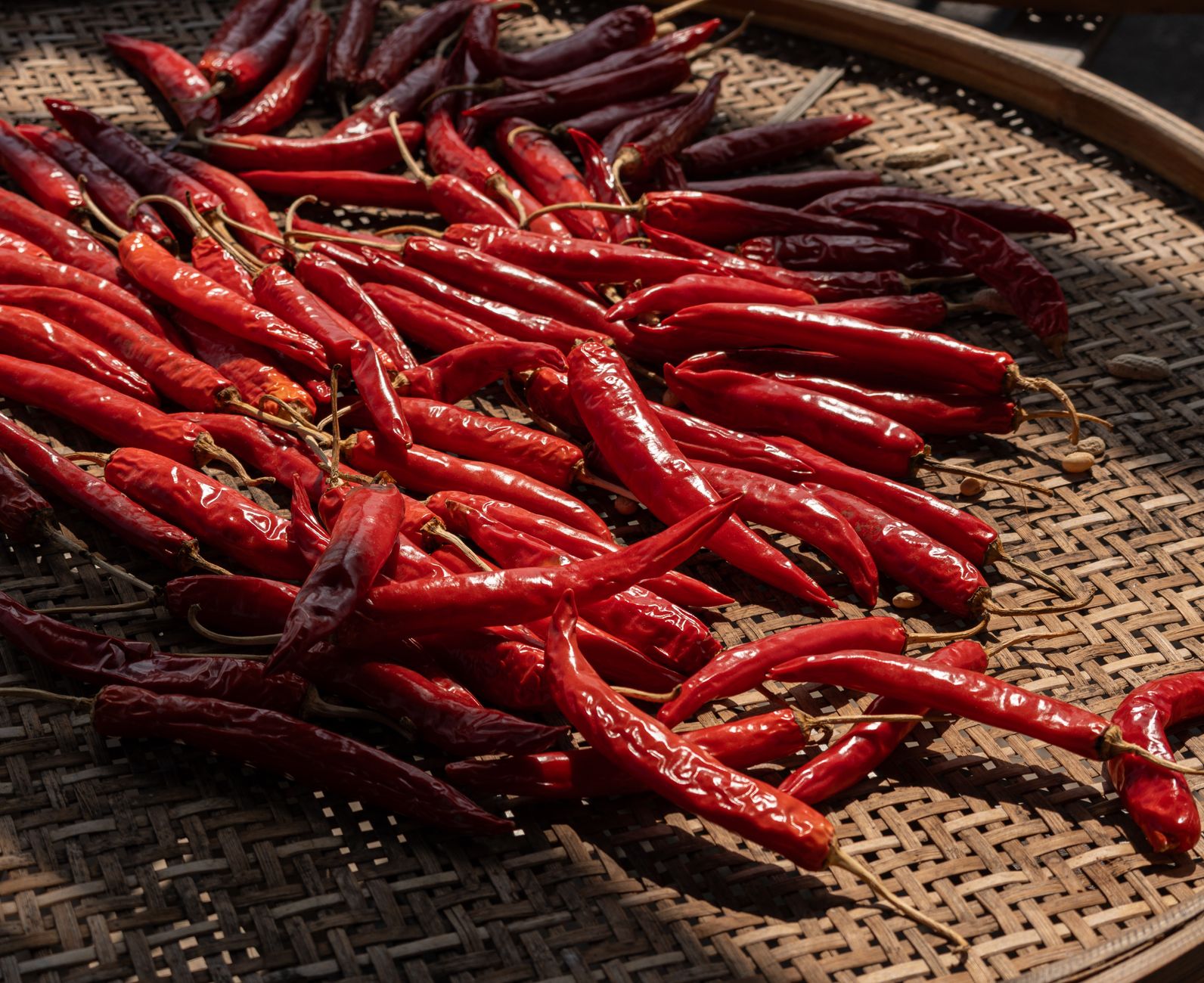 cayenne pepper benefits — A collection of vibrant red chili peppers drying on a wicker tray under sunlight.