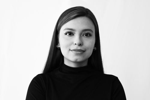 Free Elegant black and white portrait of a confident young woman with long hair and earrings. Stock Photo