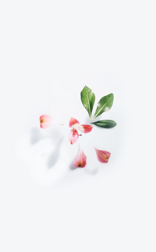 Simple Photos, Download The BEST Free Simple Stock Photos & HD Images