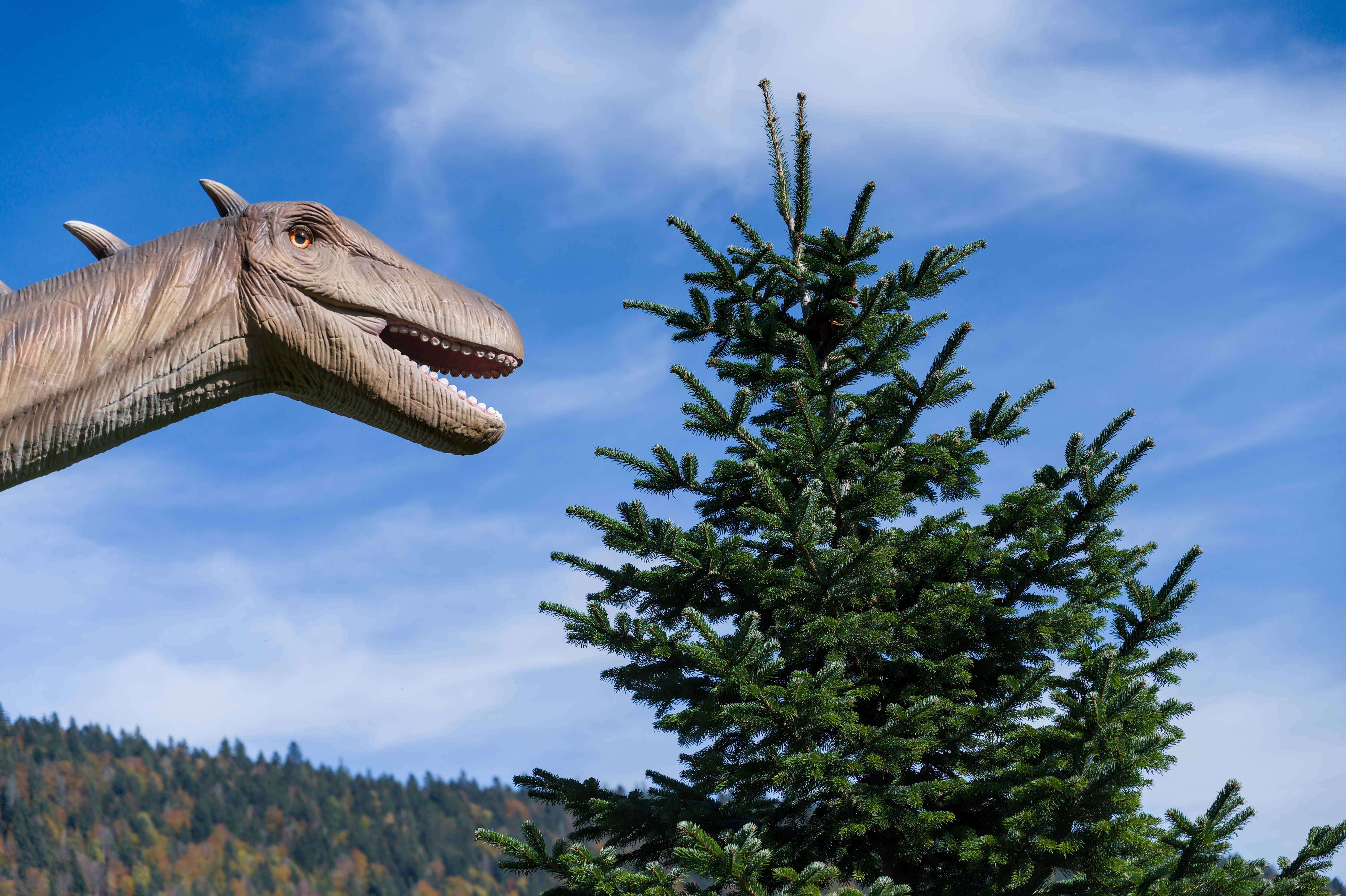 Foto: Jean-Paul Wettstein / Pexels
