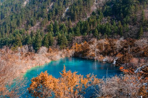 Free Breathtaking view of a vibrant blue lake surrounded by autumn foliage and evergreen trees in Jiuzhaigou, Sichuan. Stock Photo