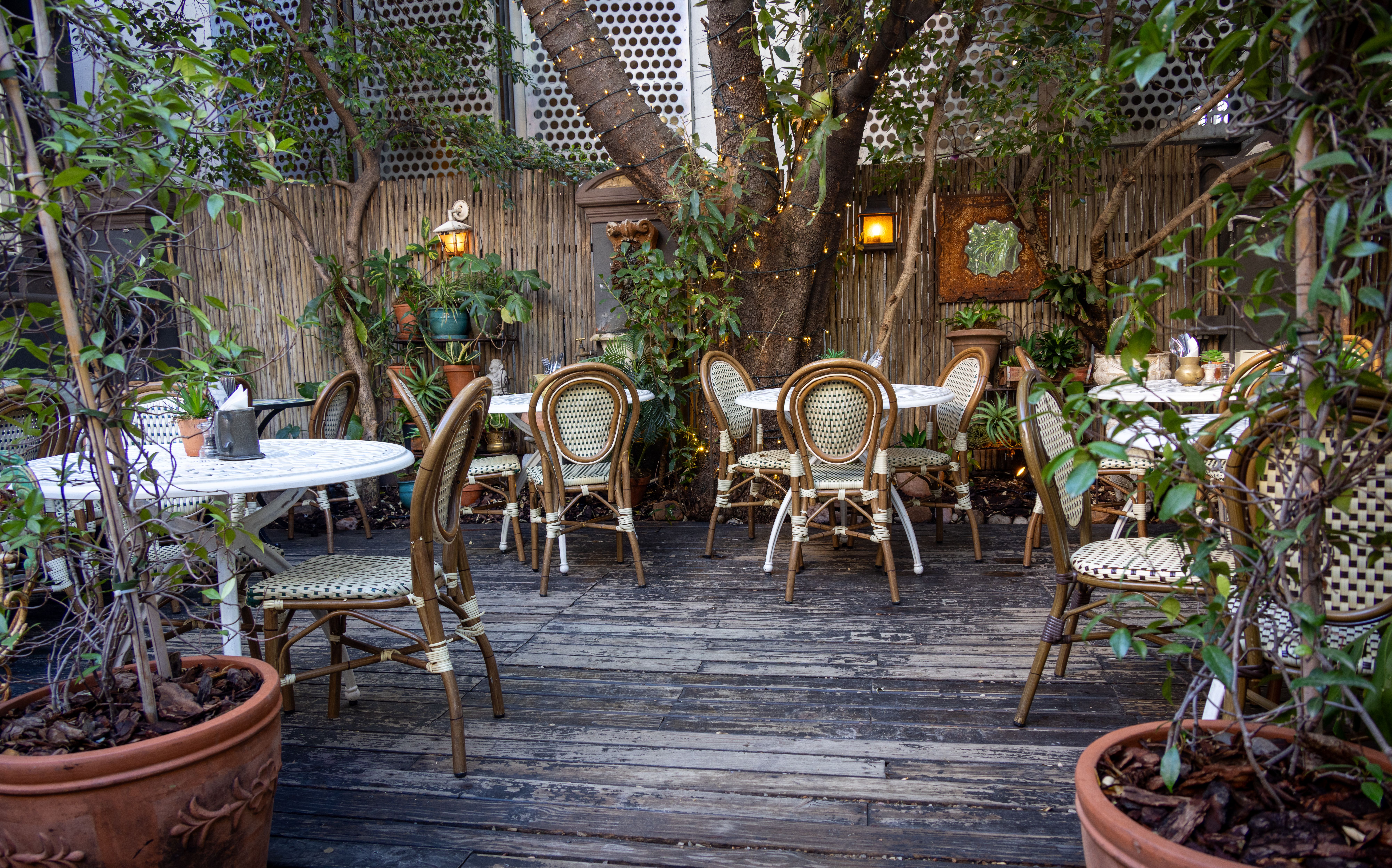 Fence and Decking Painting in Upper Norwood — woodwork brushed to a crisp, smooth line