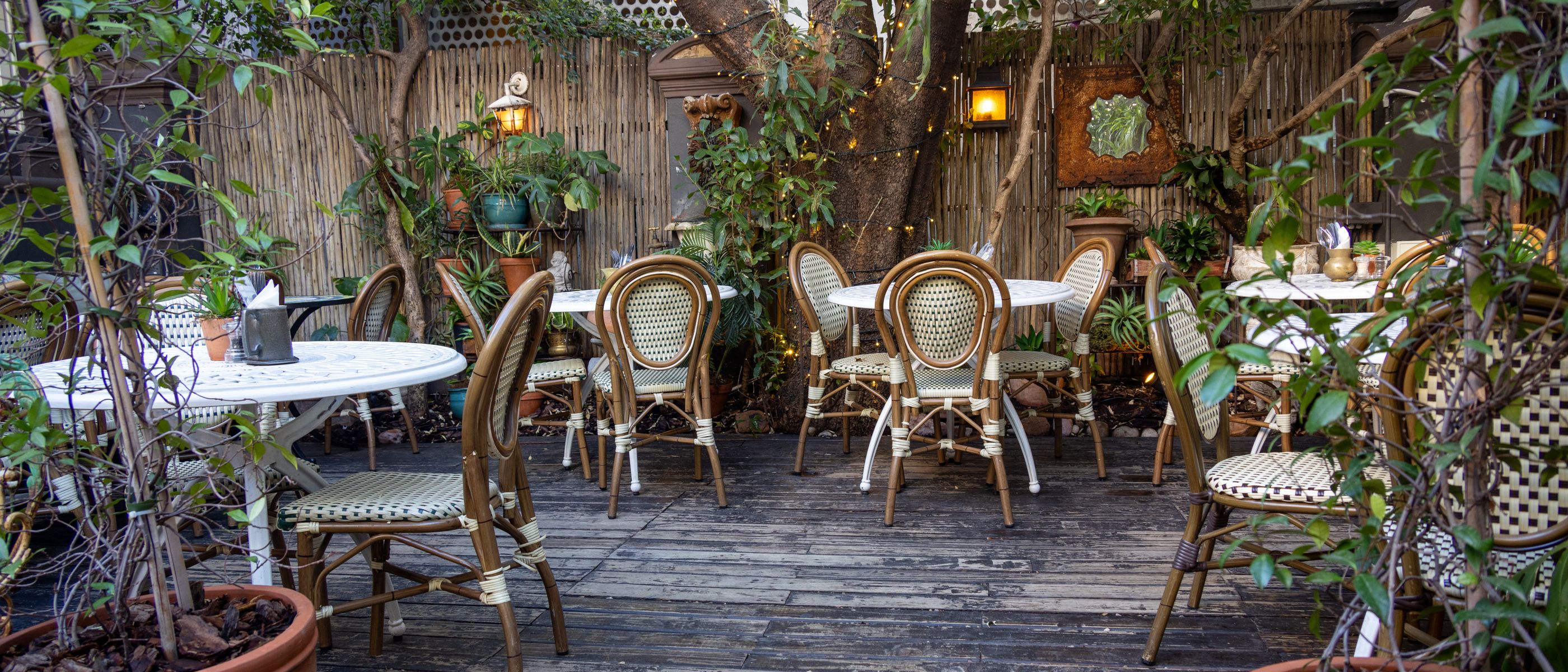 Fence and Decking Painting in Upper Norwood — woodwork brushed to a crisp, smooth line