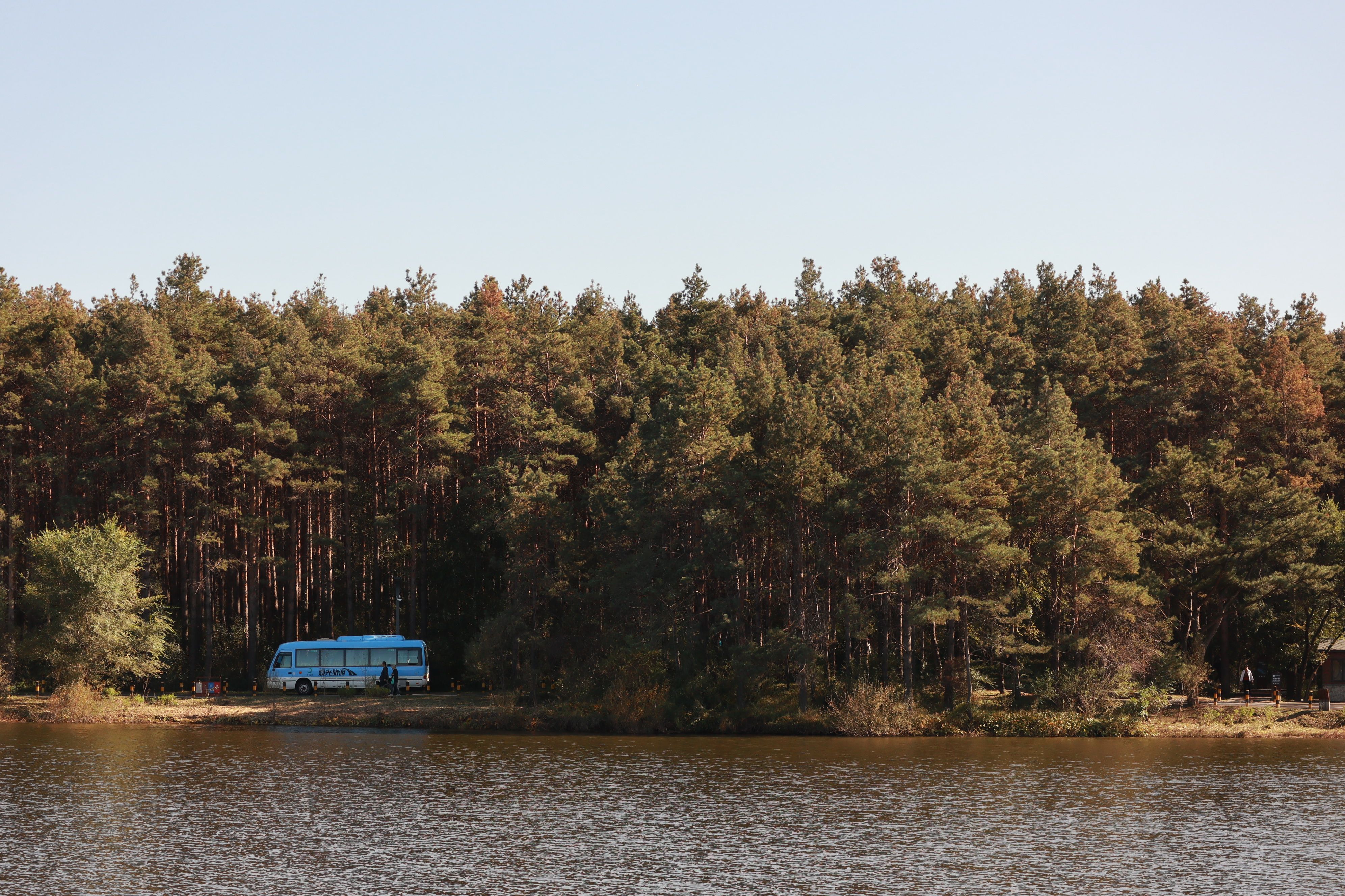 Belovezhskaya Pushcha National Park