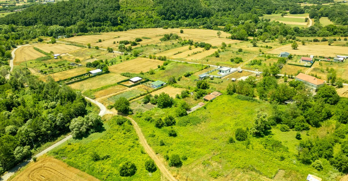 Aerial photo showcasing lush green farmland and surrounding countryside in summer.