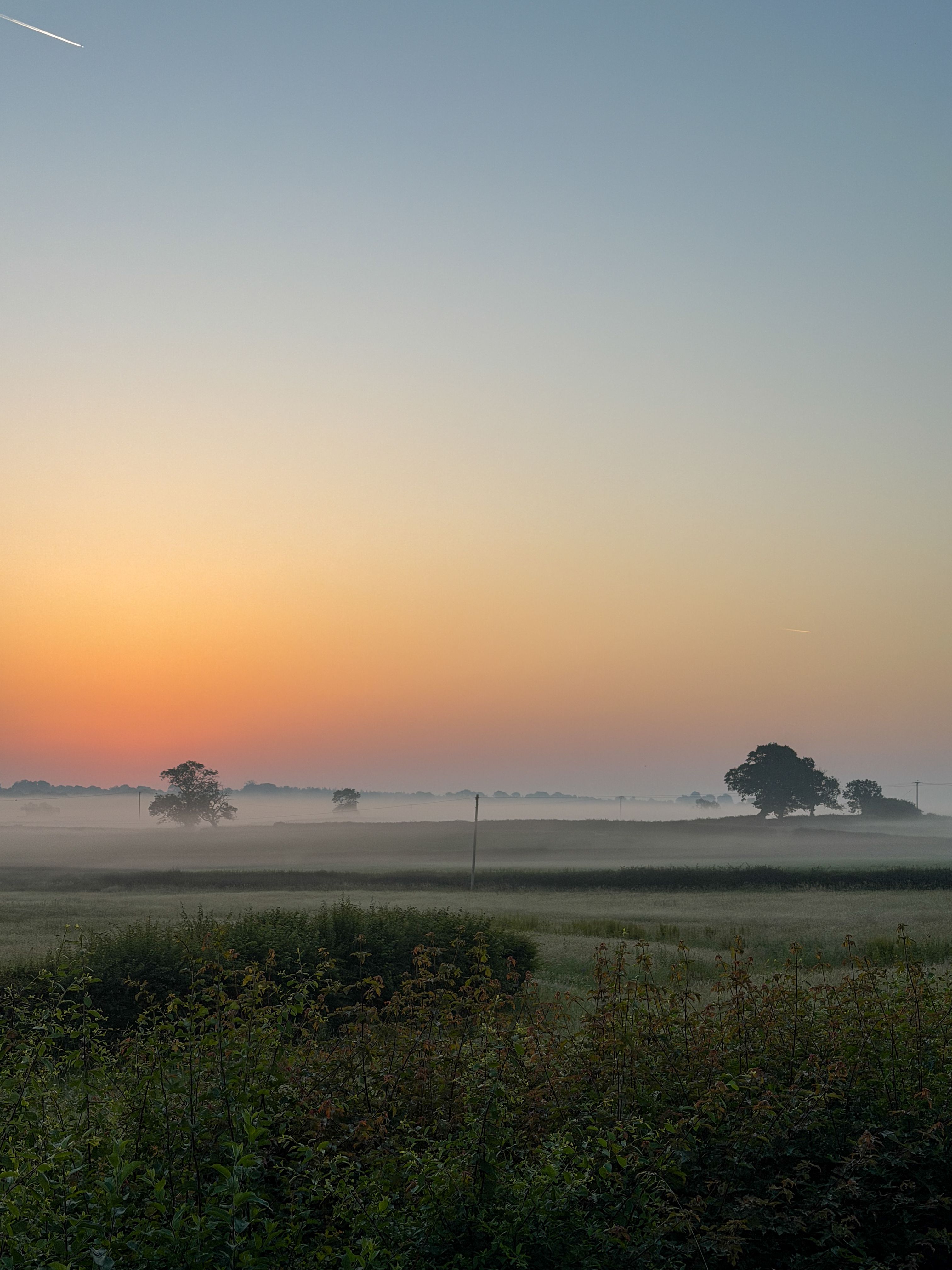 Idyllic sunrise over a misty field in the English countryside, capturing serene natural beauty.