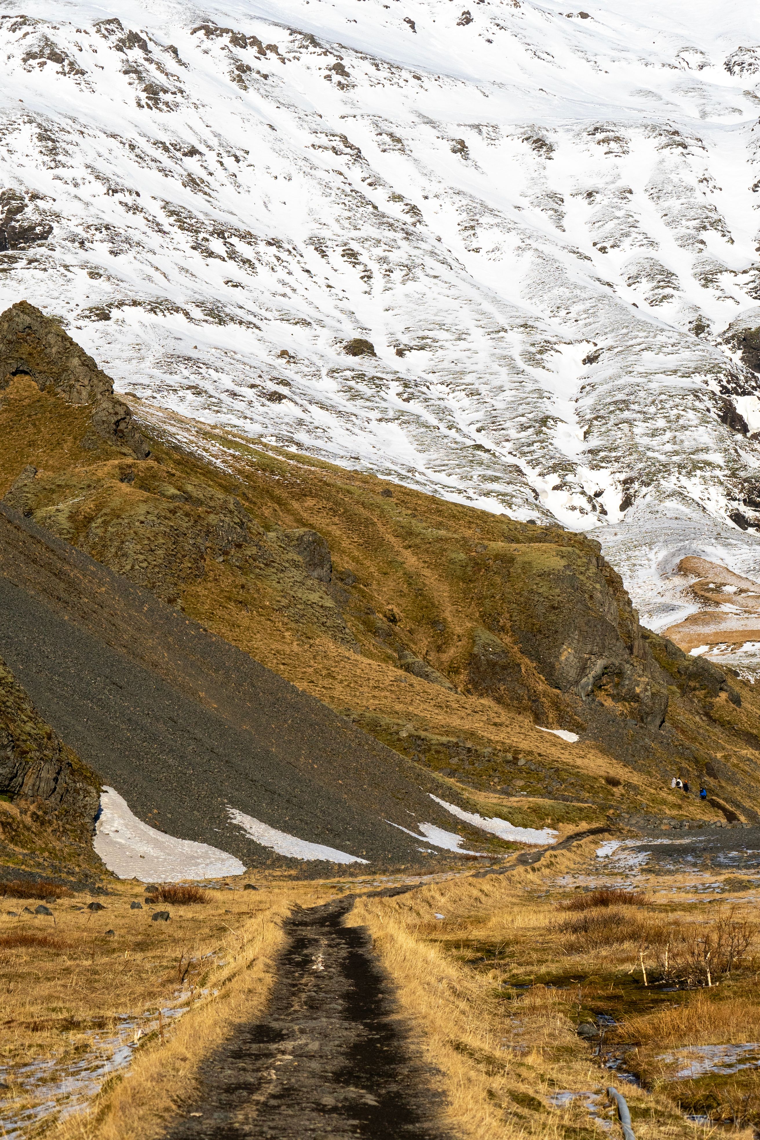 Explore a scenic hiking trail leading to snow-covered mountains, ideal for nature enthusiasts.