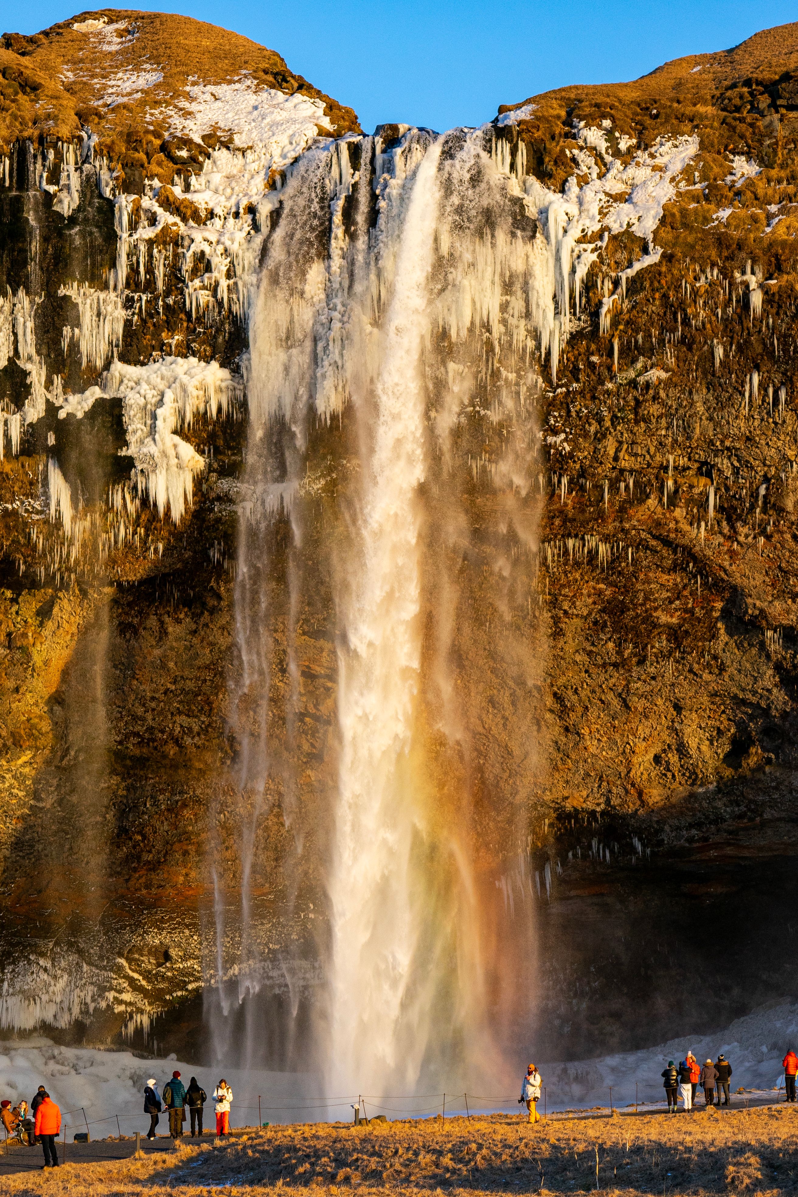 A stunning view of Seljalandsfoss waterfall in Iceland with a vibrant rainbow and icy backdrop.