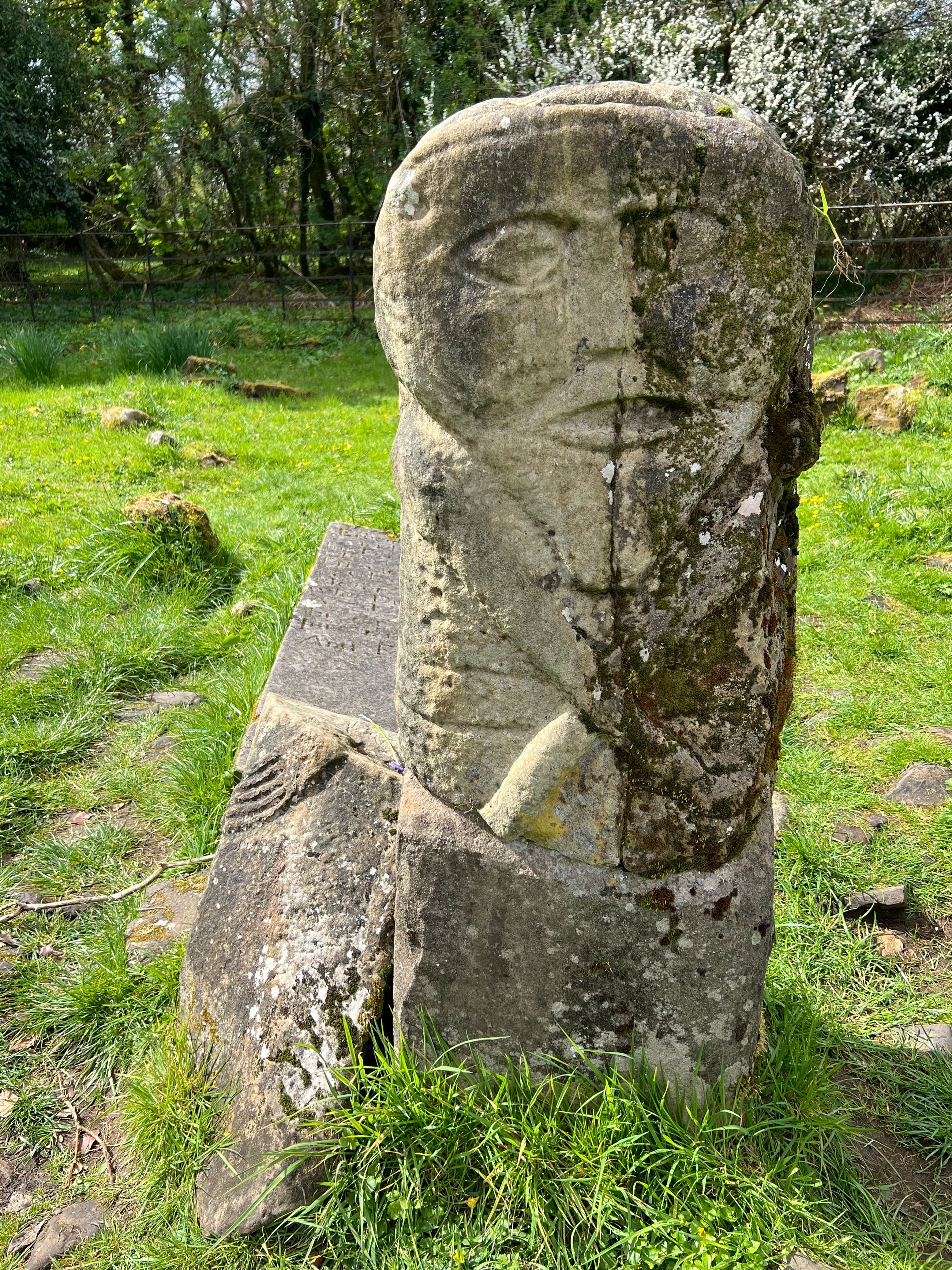 Fotomural Antigua escultura de piedra cubierta de musgo, rodeada de exuberante hierba verde en un apacible entorno rural irlandés.