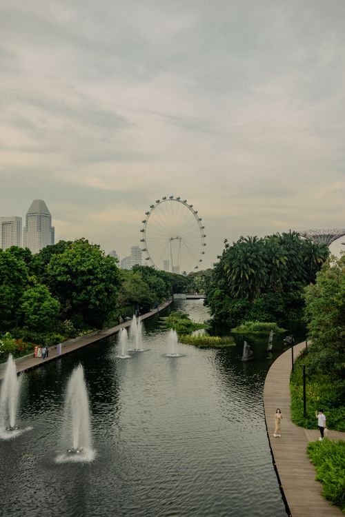 Free A stunning view of Singapore's Ferris wheel and cityscape seen from a lush park. Stock Photo