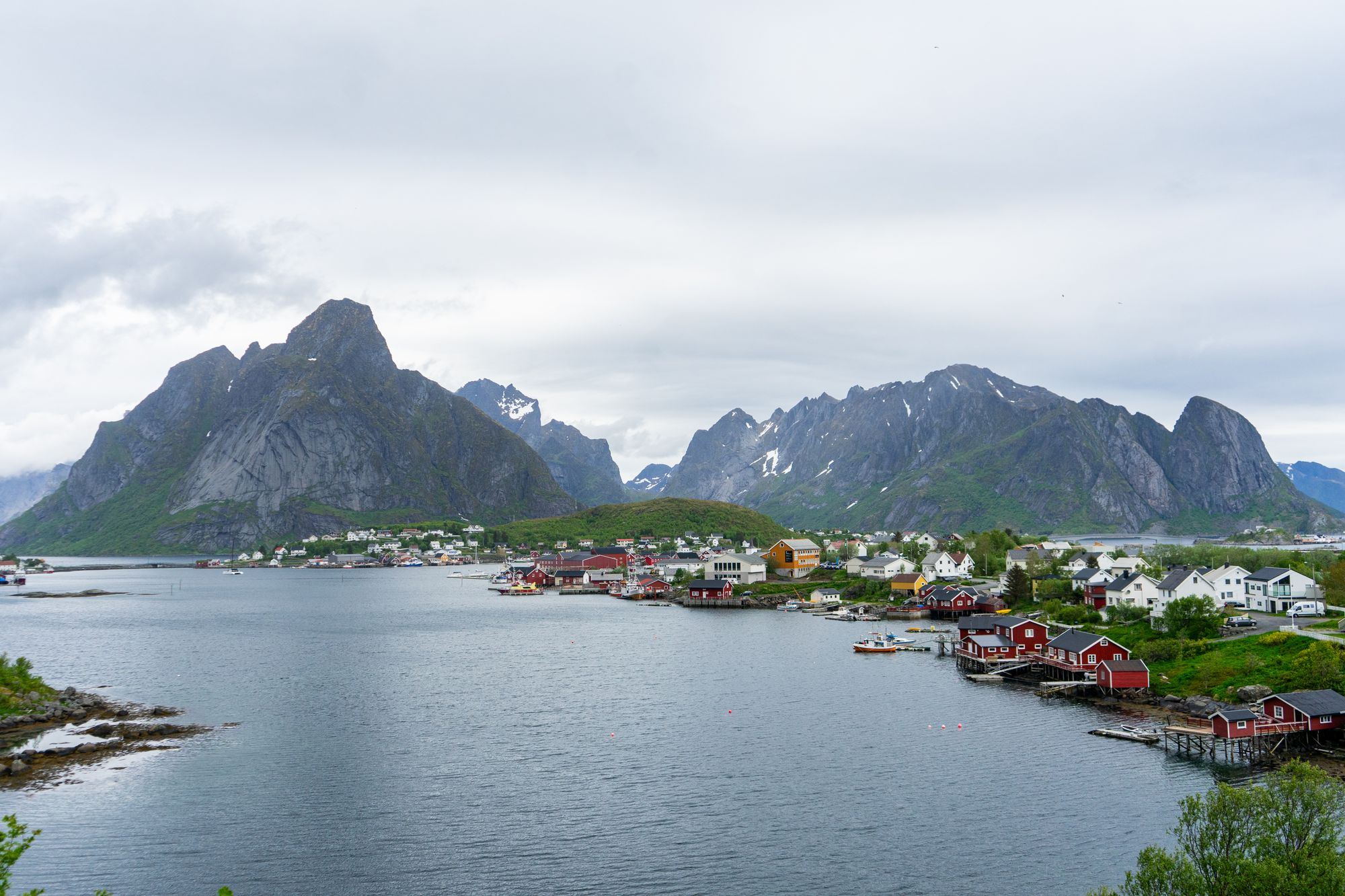 Reine