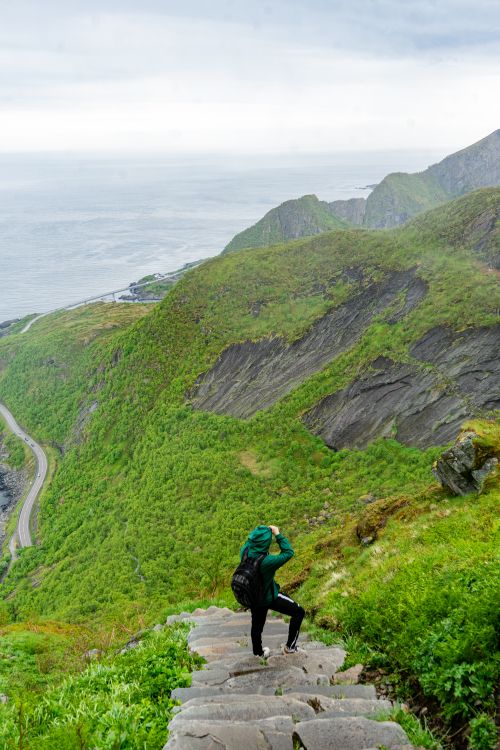 Free A hiker enjoys the breathtaking view of Nordland mountains and coastline in Norway. Stock Photo