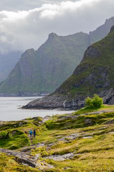 Beautiful landscape view in Lofoten, Norway with lush greenery and mountains.