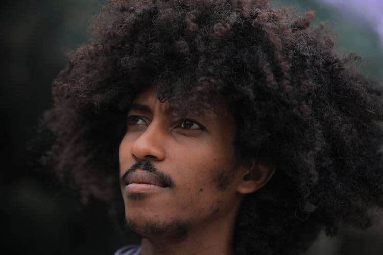 Man With Curly Hair Looking Away