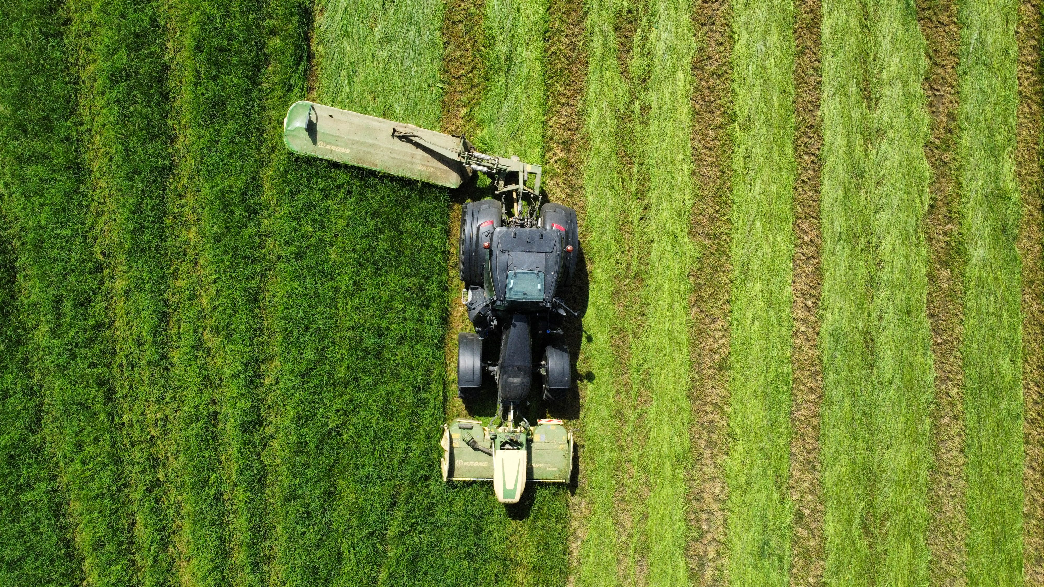 Freshly mowed lawn with precise edges