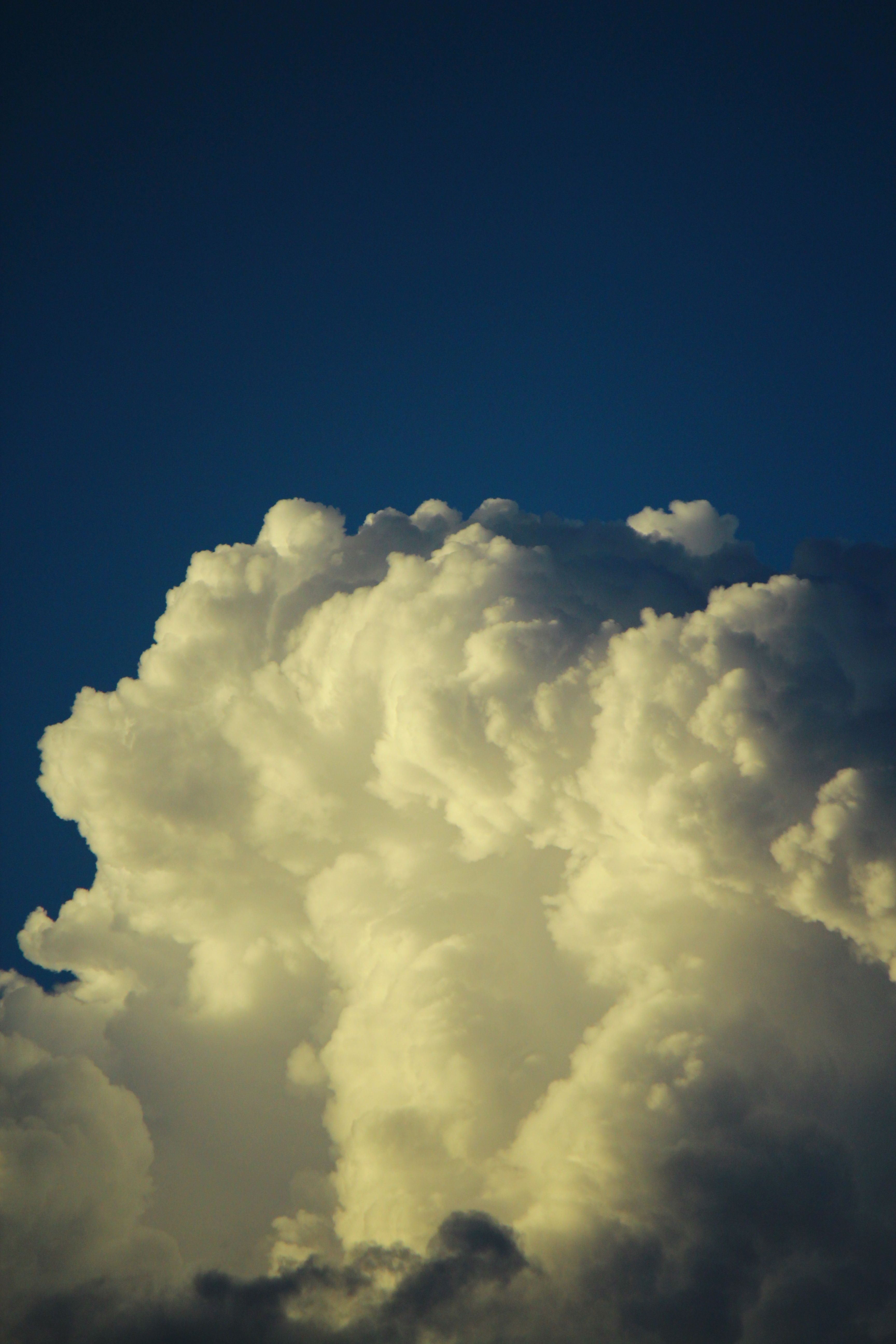 Majestic cumulus cloud formation under bright blue sky, depicting dynamic weather patterns.